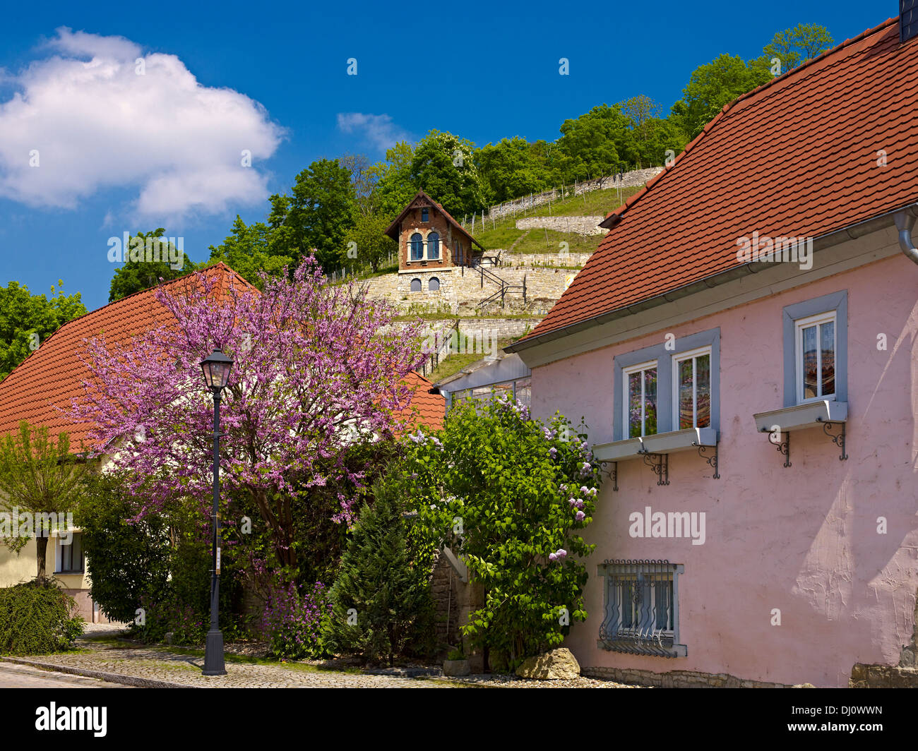 Houses at vineyard, Freyburg/Unstrut, SaxonyAnhalt, Germany Stock