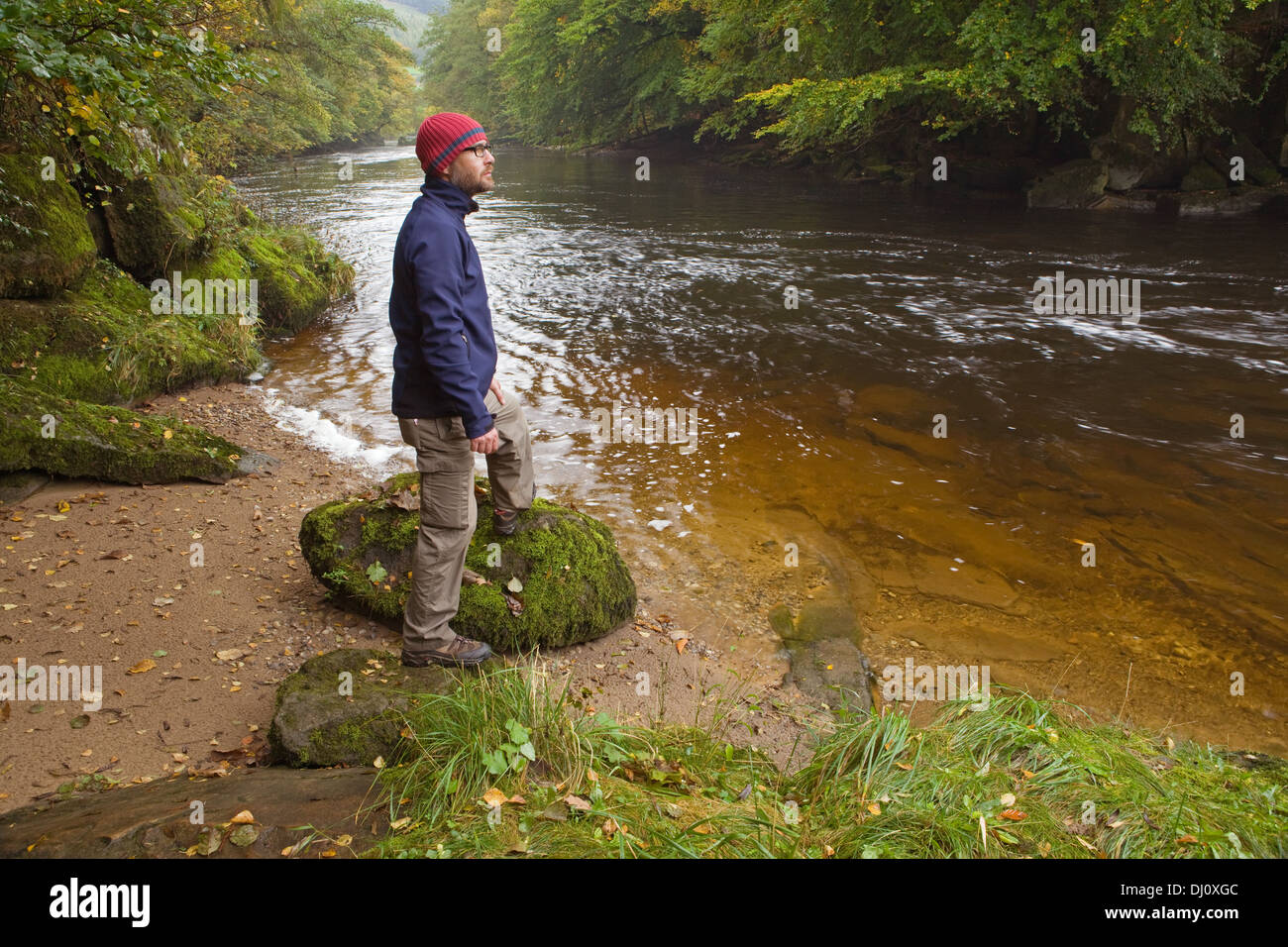 Haugh Wood and the River Wharfe, Wharfedale, Yorkshire Dales National Park, England, UK. October 2013. Stock Photo