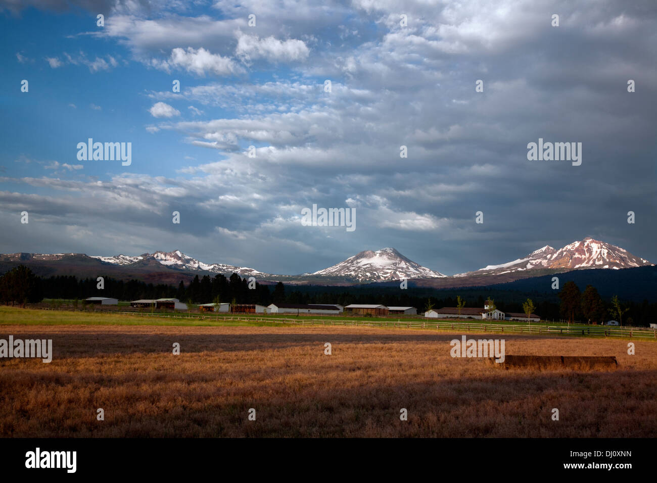OREGON Farm at the town of Sisters with the Three Sisters and Broken