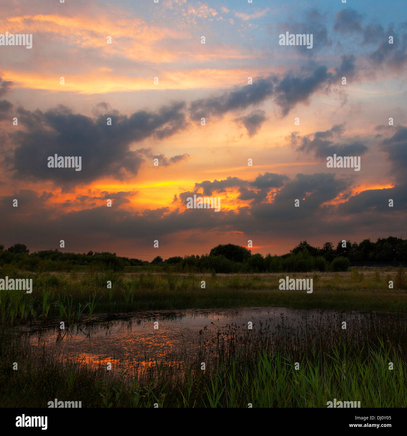 Sunset Pond Stock Photo