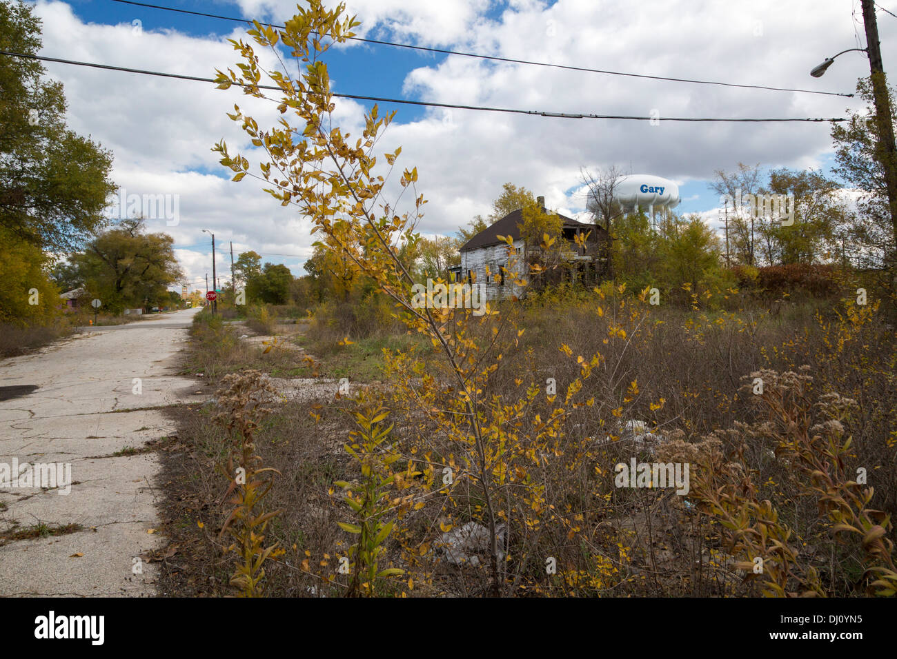 Gary, Indiana Vacant and overgrown lots in Gary, Indiana, where the