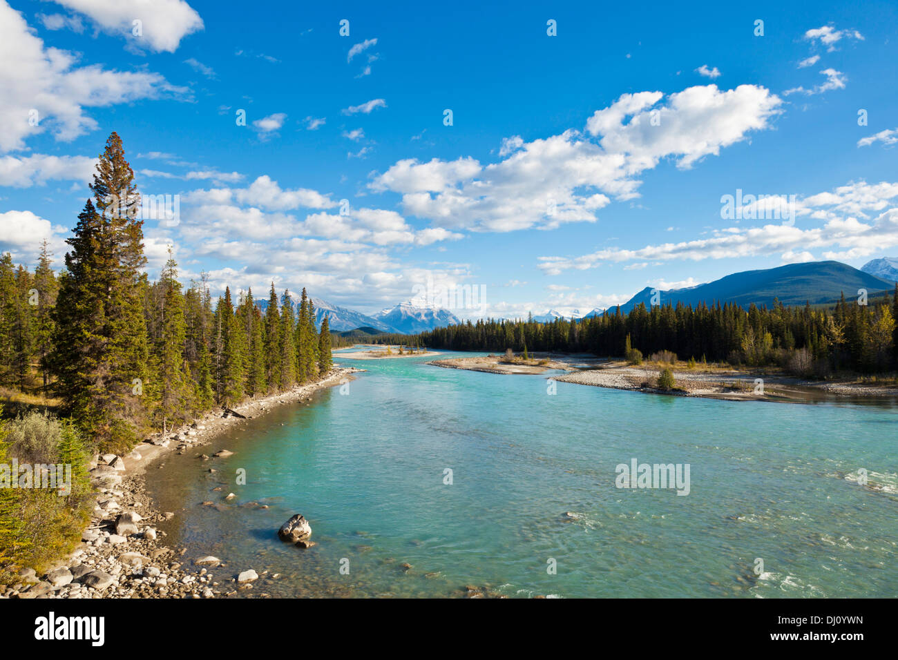 The Athabasca River flowing through Jasper National Park just outside the town of Jasper Canadian Rockies Alberta Canada Stock Photo