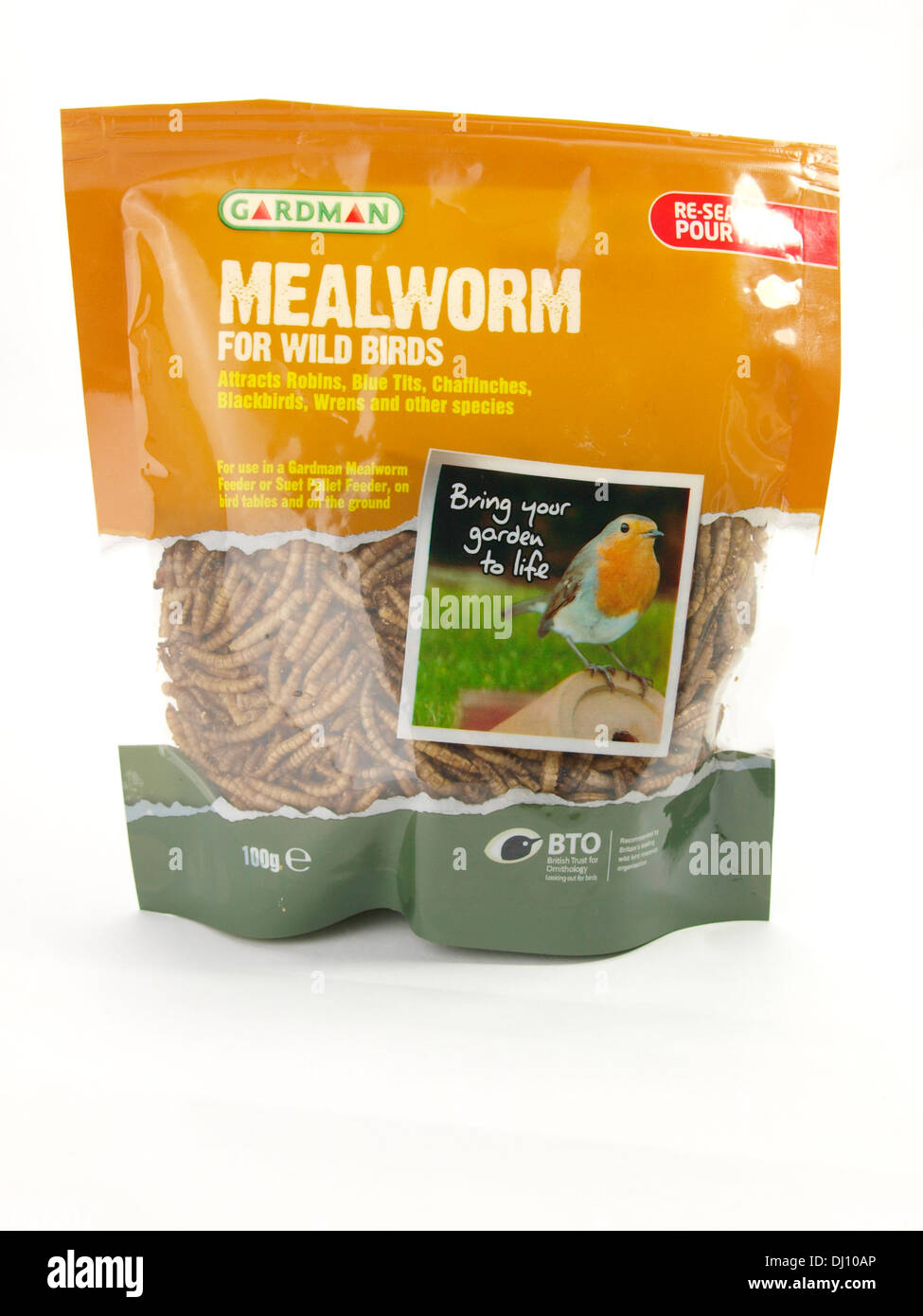 Mealworm wild bird food, UK Stock Photo