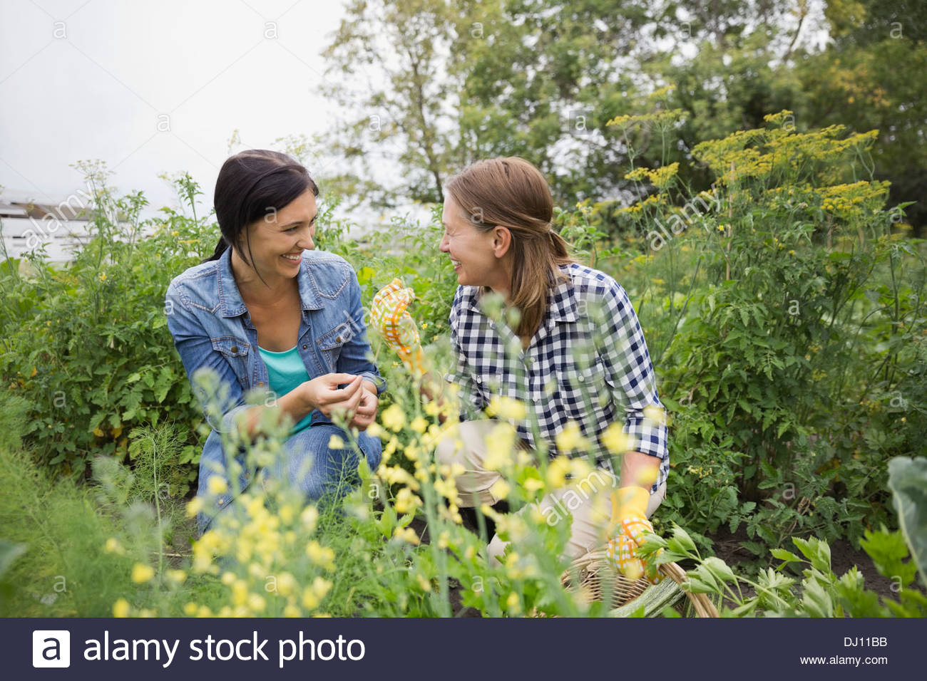 Mother and daughter gardening together Stock Photo