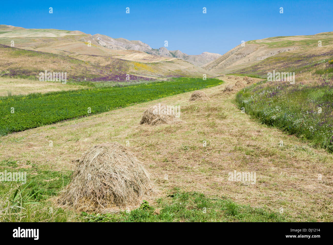 Haystack in autumn summer field hi-res stock photography and images - Alamy