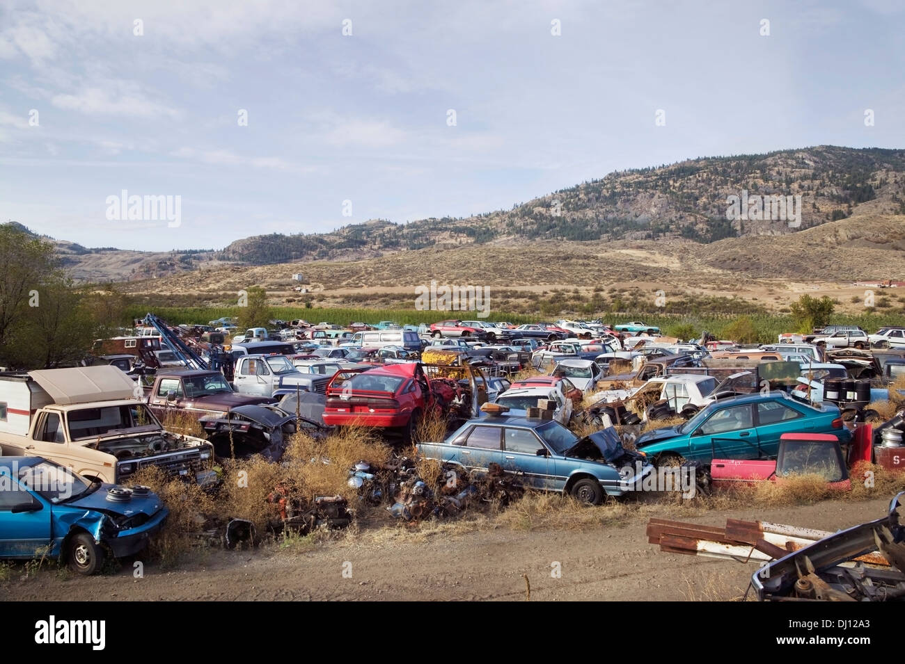 Car junkyard canada hi-res stock photography and images - Alamy