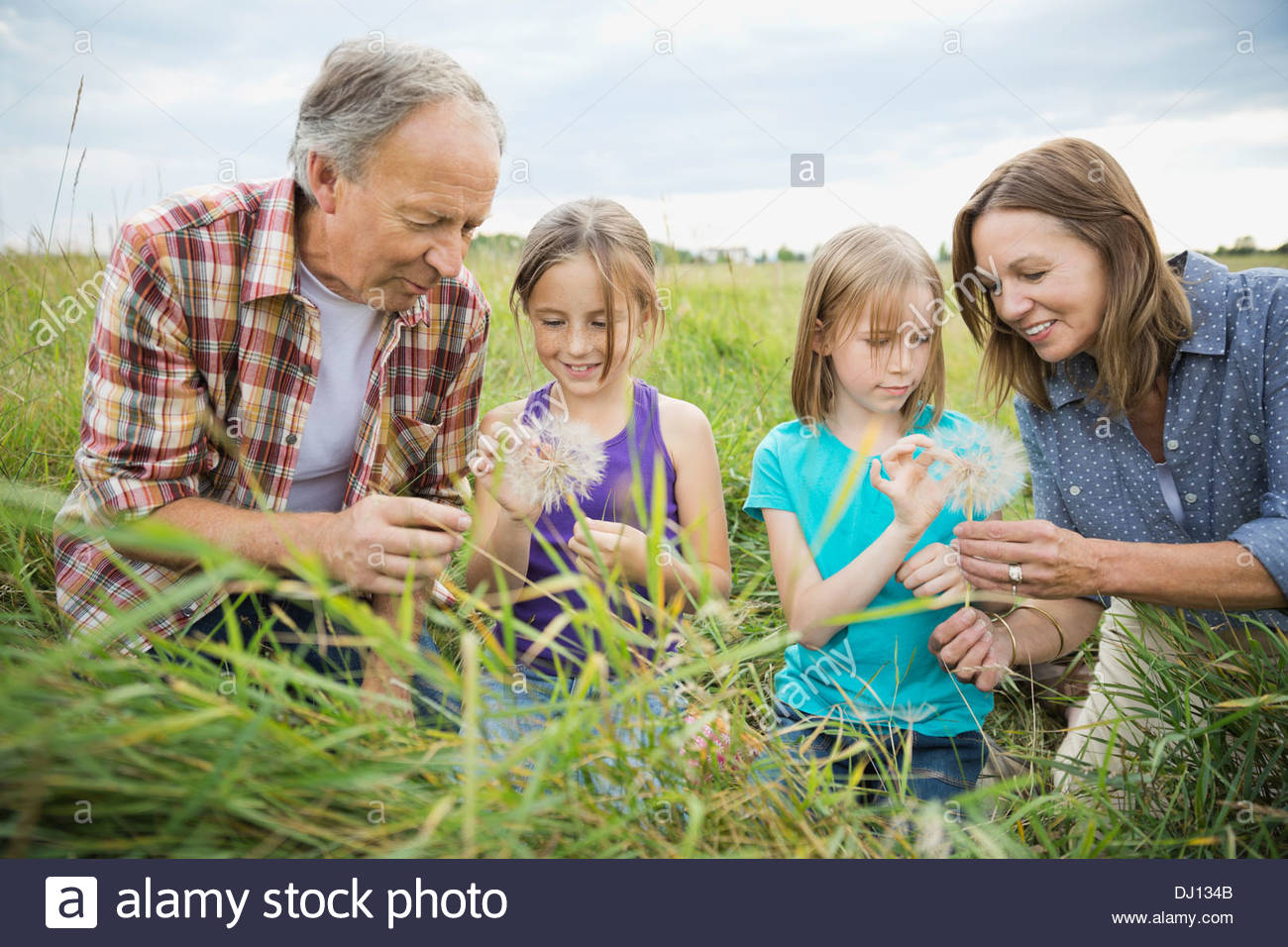 Grandparents and granddaughters looking at seeds of Tragopogon plant Stock Photo