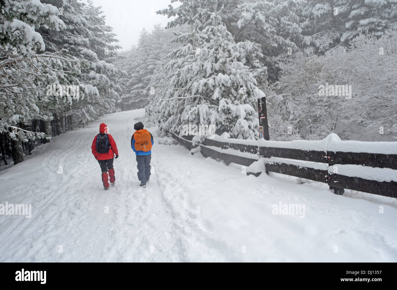 Two hikers walking route hi-res stock photography and images - Alamy