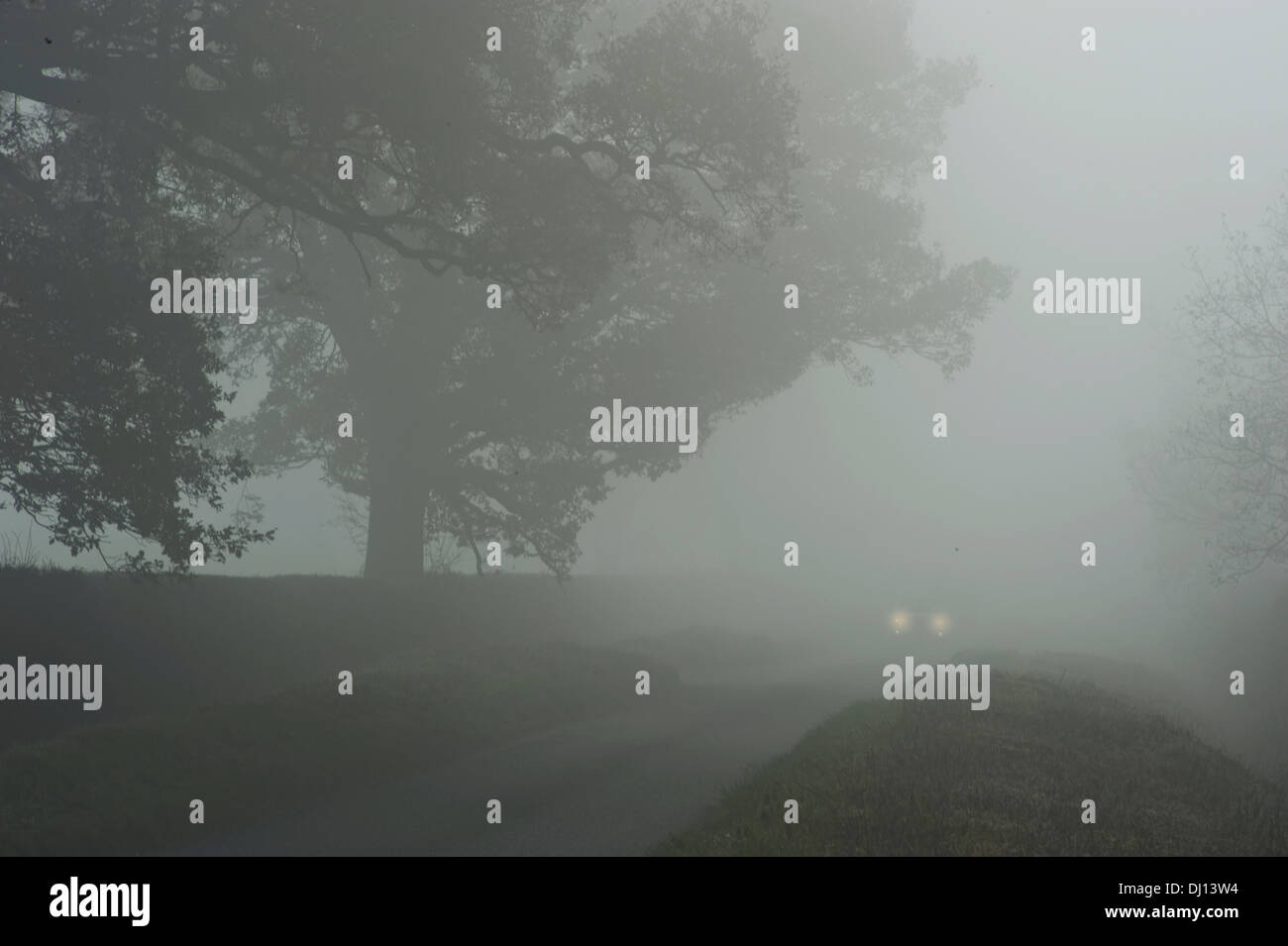 Dangerous conditions for a car driving in foggy weather Stock Photo Alamy