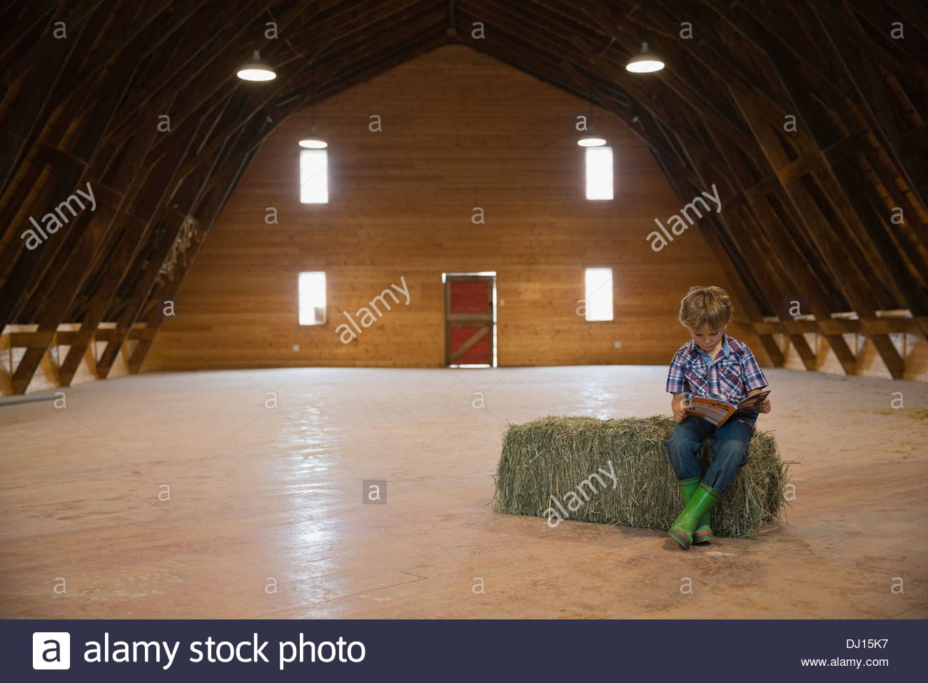 Boy reading book on hay bale in barn Stock Photo