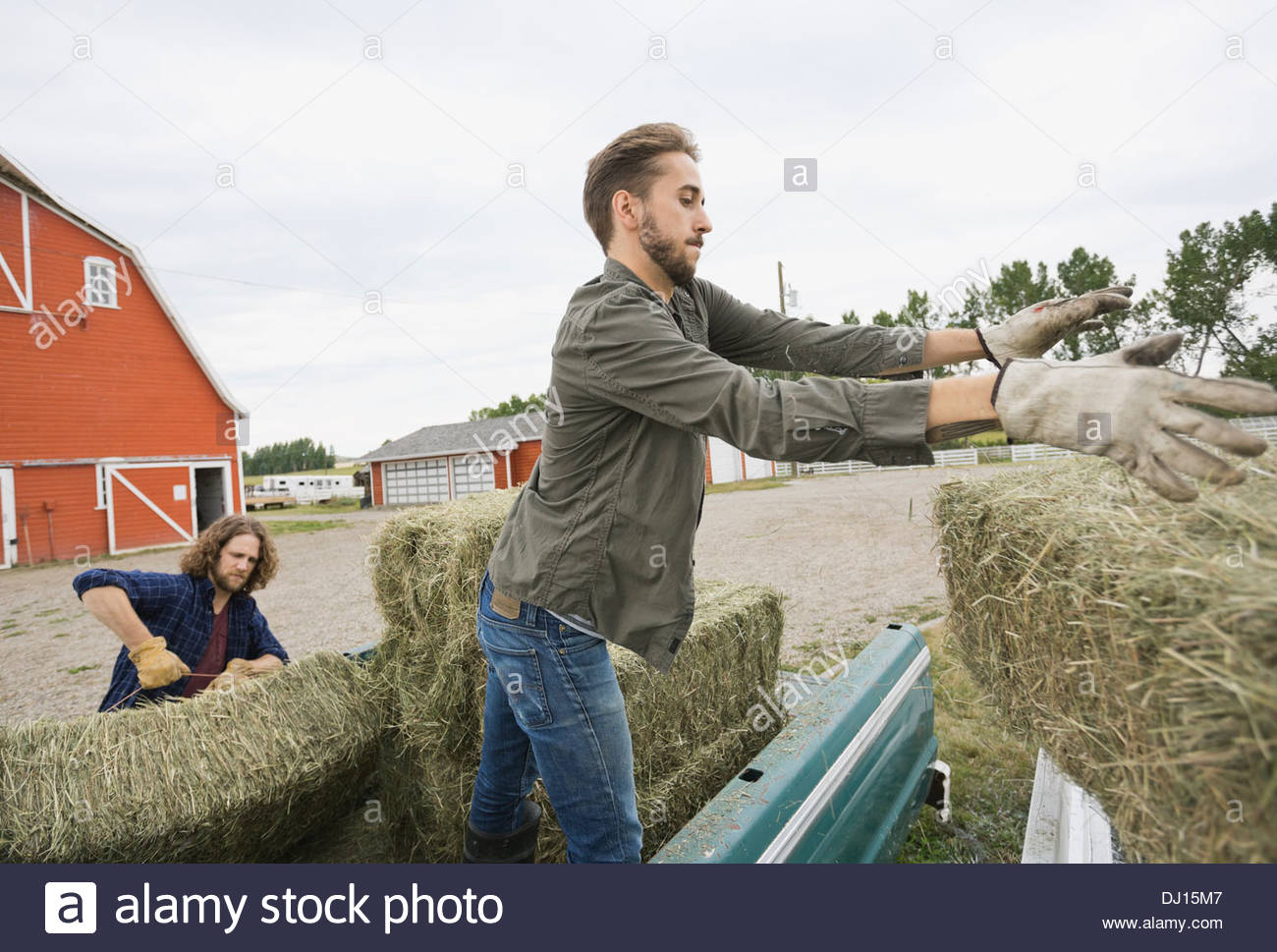 Farmer throwing hay bale hires stock photography and images Alamy