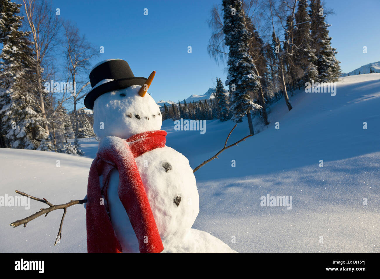 Snowman Wearing A Black Top Hat And Red Scarf Standing In A Snowcovered ...