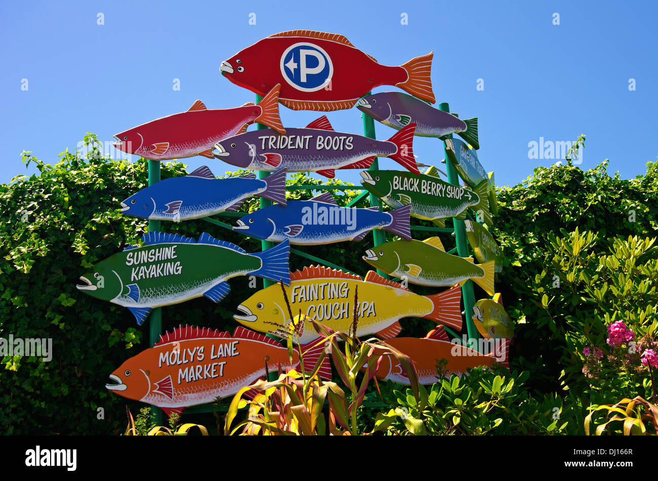 Business Signs Composed Of Colorful Fish In Gibsons Landing; Gibsons, British Columbia, Canada Stock Photo