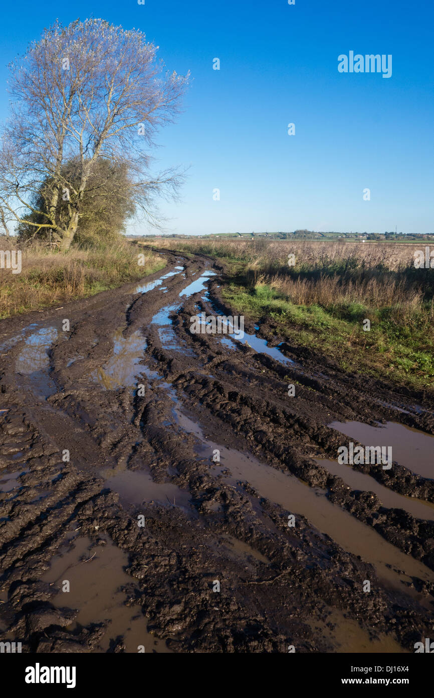 A muddy drove (Aldreth Causeway) in Cambridgeshire, England Stock Photo