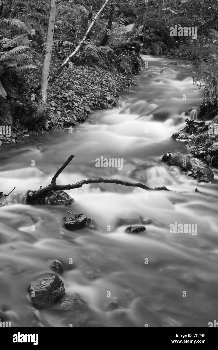 A slow shutter speed image of a running lake with a branch and various rocks. Stock Photo