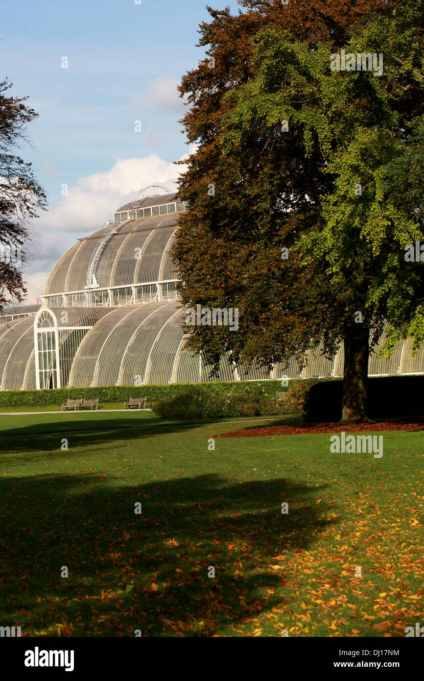 Palm House, Kew Royal Botanical Gardens. Stock Photo