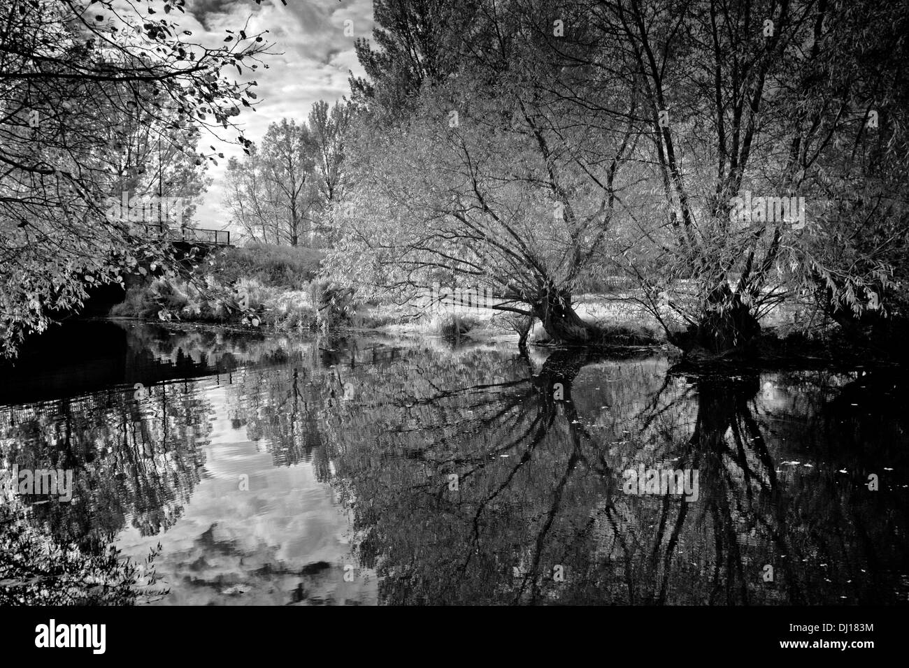 River reflecting trees along The Cherwell River, Oxford, UK Stock Photo