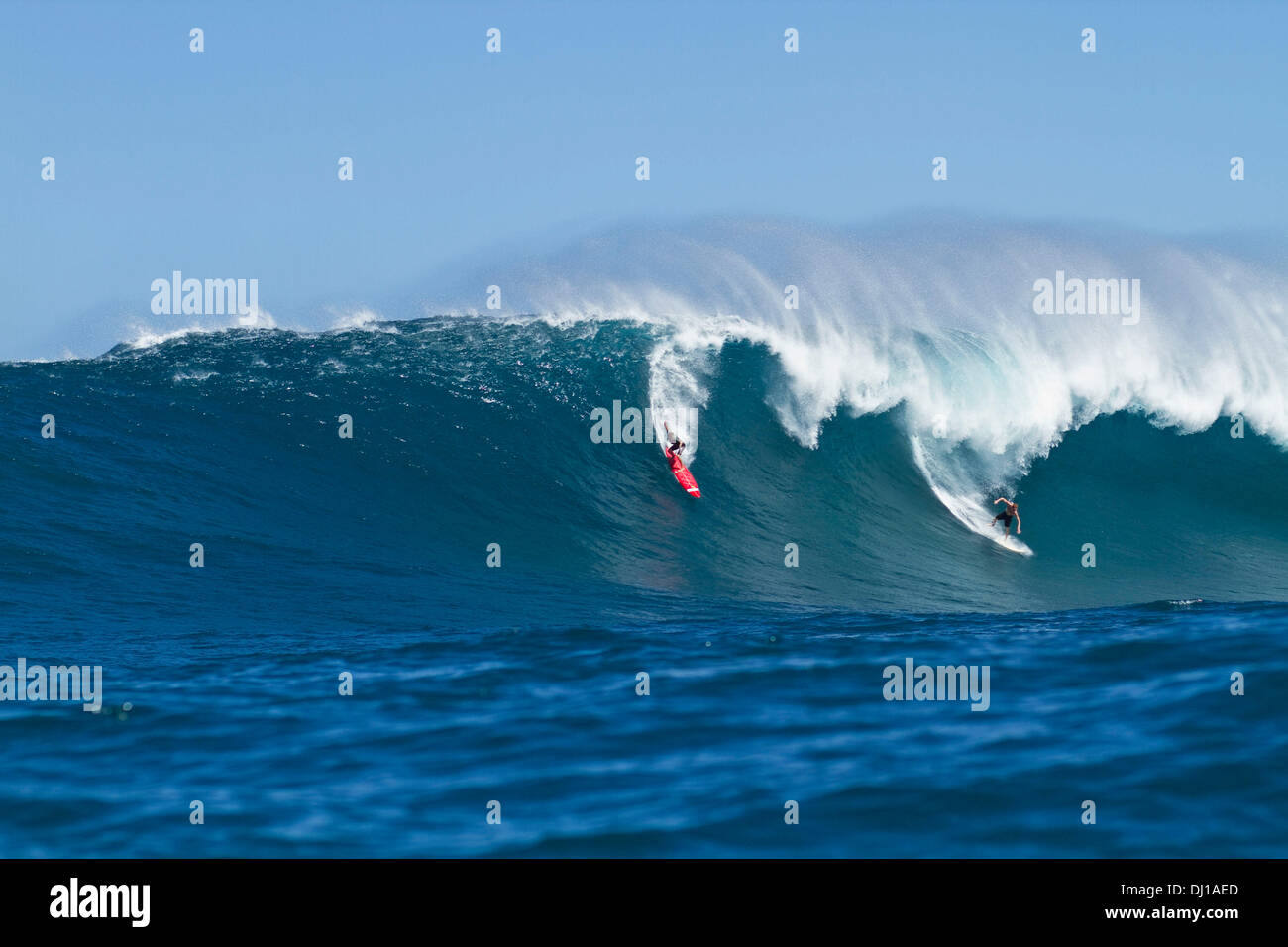 Oahu, Hawaii, USA. 13th Nov, 2013. (Sequence 7 of 12) Outside Alligator