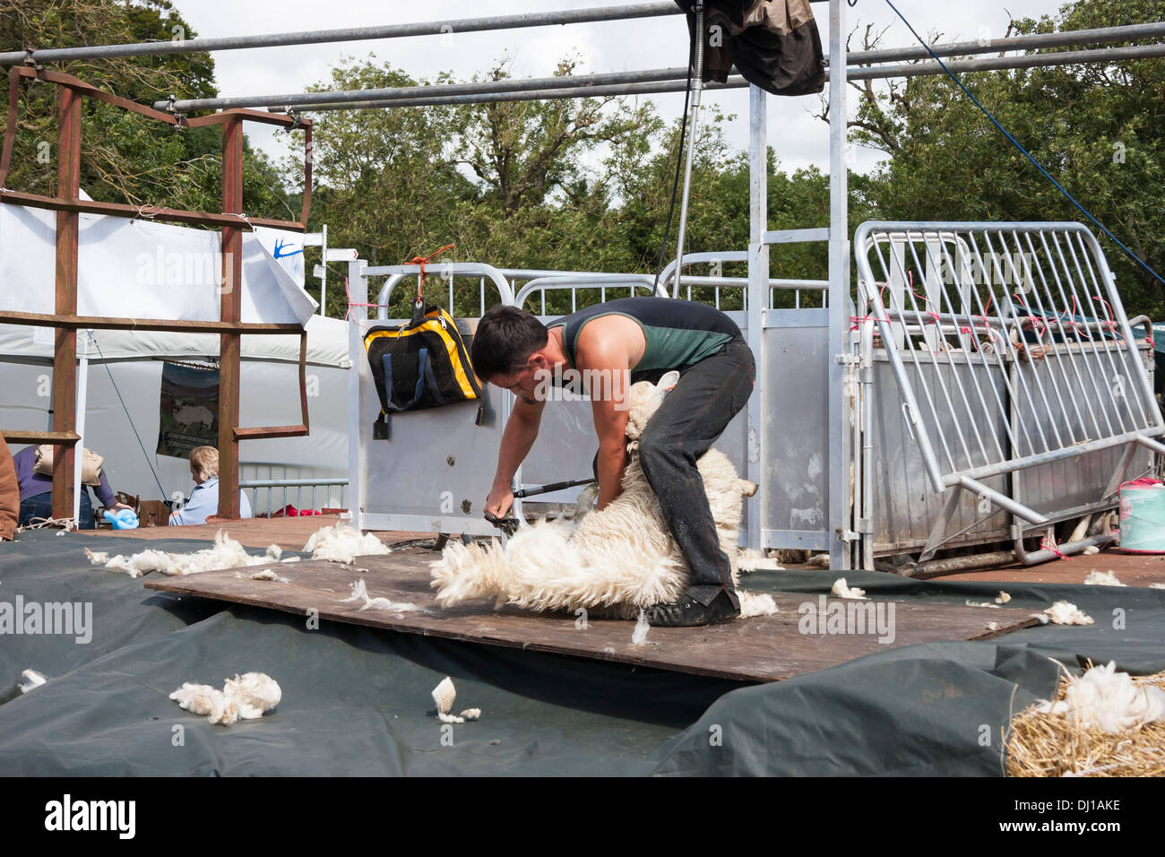 Sheep shearing display at show Stock Photo Alamy