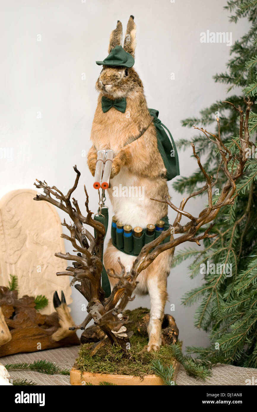 The rabbit carrying the gun paradox situation in hunting Stock Photo