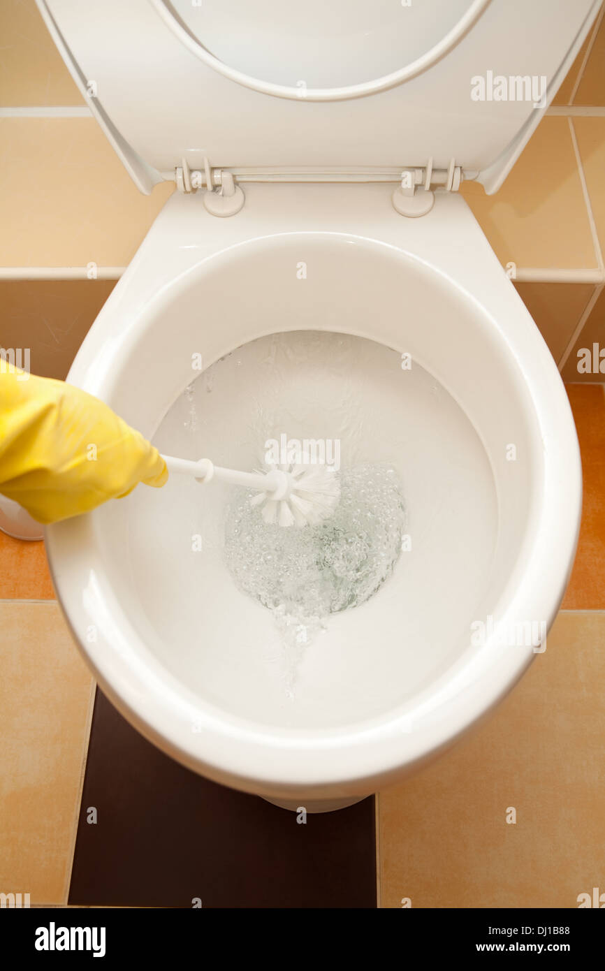 Washing toilet hires stock photography and images Alamy