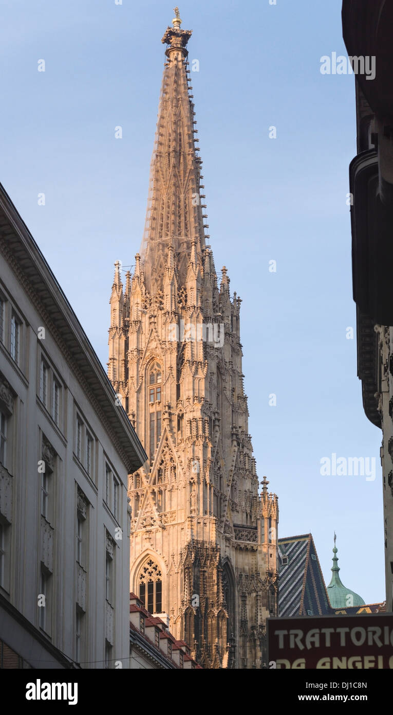 Steffi the huge tower of the Cathedral glow at sunset. The tall tower of St Stephen's Cathedral looms above central Vienna Stock Photo