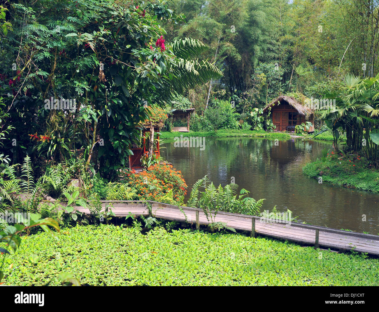 Little houses for holiday in front of a lake in Mindo, Ecuador Rainforest Stock Photo