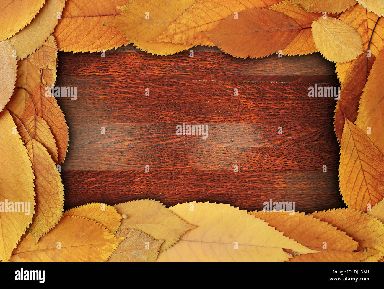 abstract frame made from cherry golden autumn leaves on beautiful wooden backdrop Stock Photo