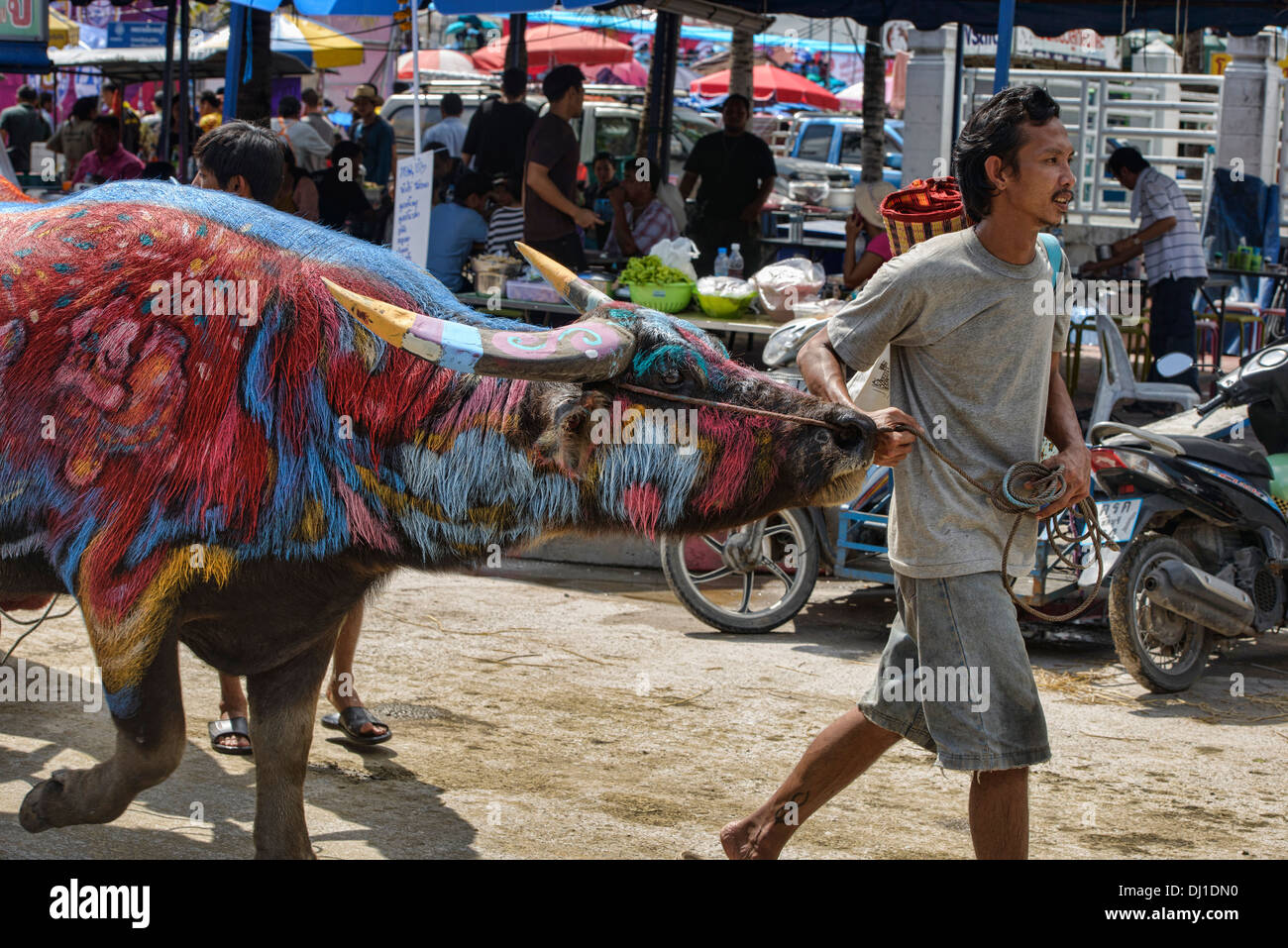 colorful dyed water buffalo at the Chonburi Buffalo Racing Festival, Thailand Stock Photo