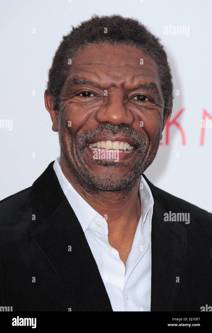 New York, NY, USA. 18th Nov, 2013. Vondie Curtis-Hall at arrivals for