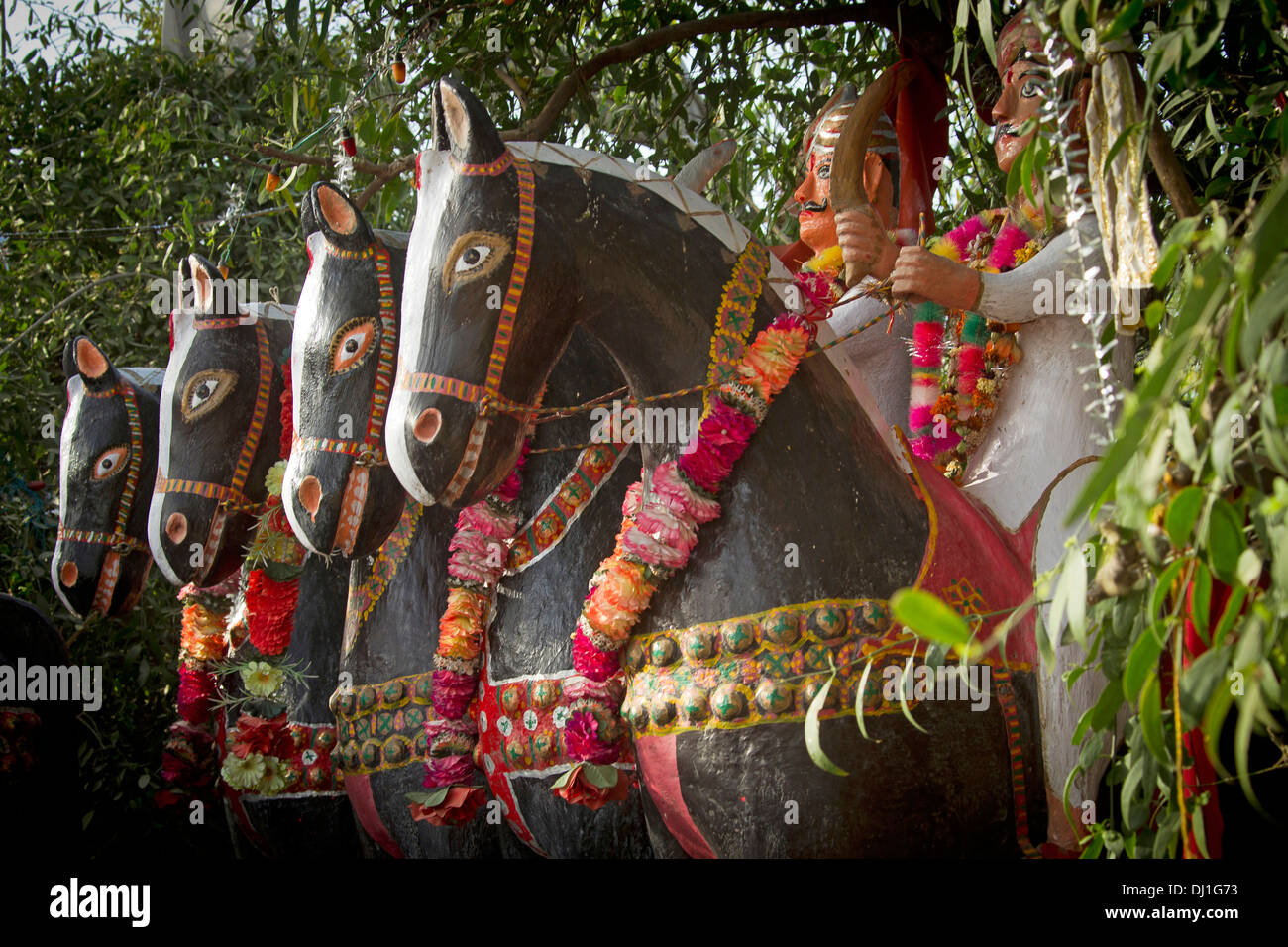Indian horses hires stock photography and images Alamy