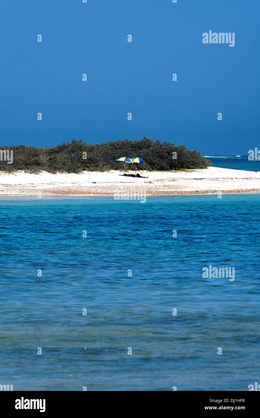 Sun Umbrella Australia High Resolution Stock Photography and Images Alamy