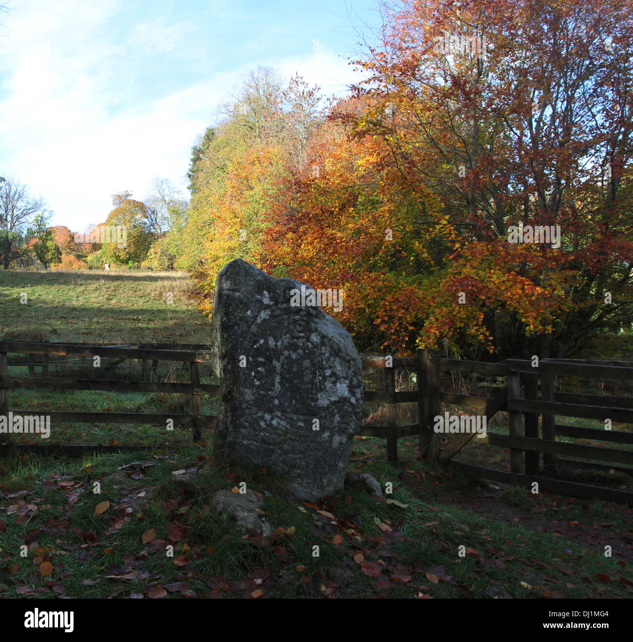 The Eagle Stone Strathpeffer Scotland November 2013 Stock Photo