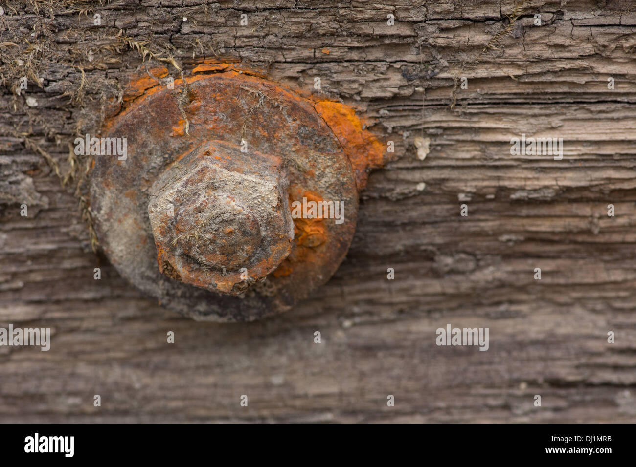 Macro picture of a rusty screw Stock Photo