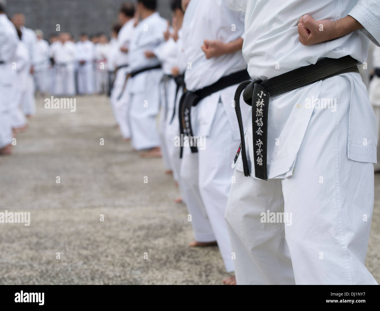 Karate demonstrations at Shuri Castle, Naha City, Okinawa, Japan by world's  highest ranking masters on Karate Day Stock Photo - Alamy