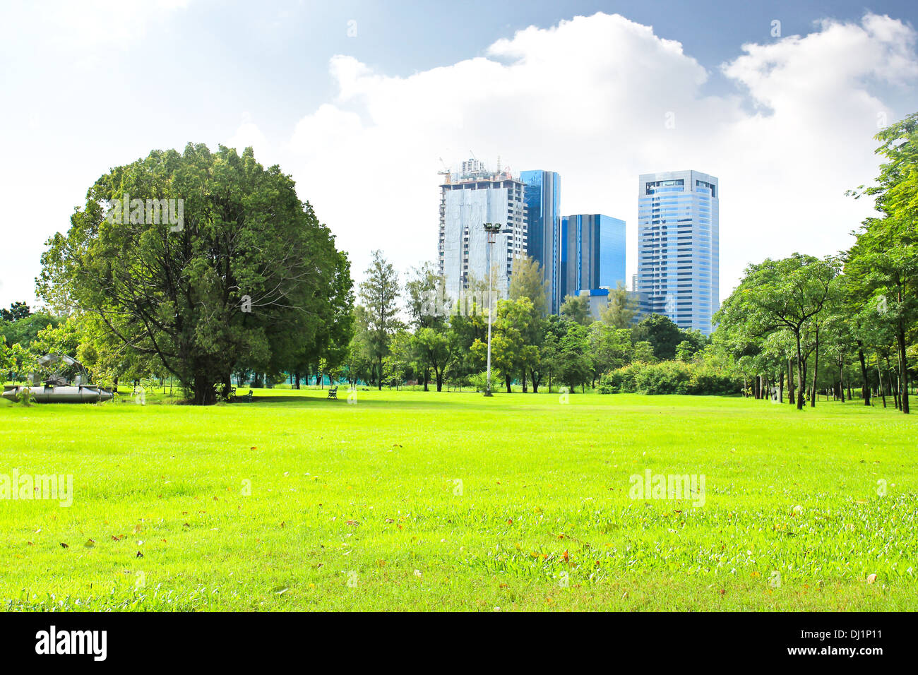 Green city park Stock Photo