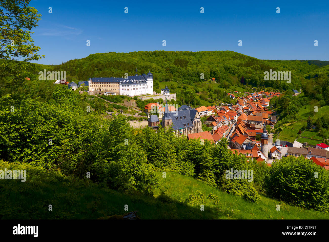 Stolberg with Castle, Stolberg/Harz, Saxony-Anhalt, Germany Stock Photo