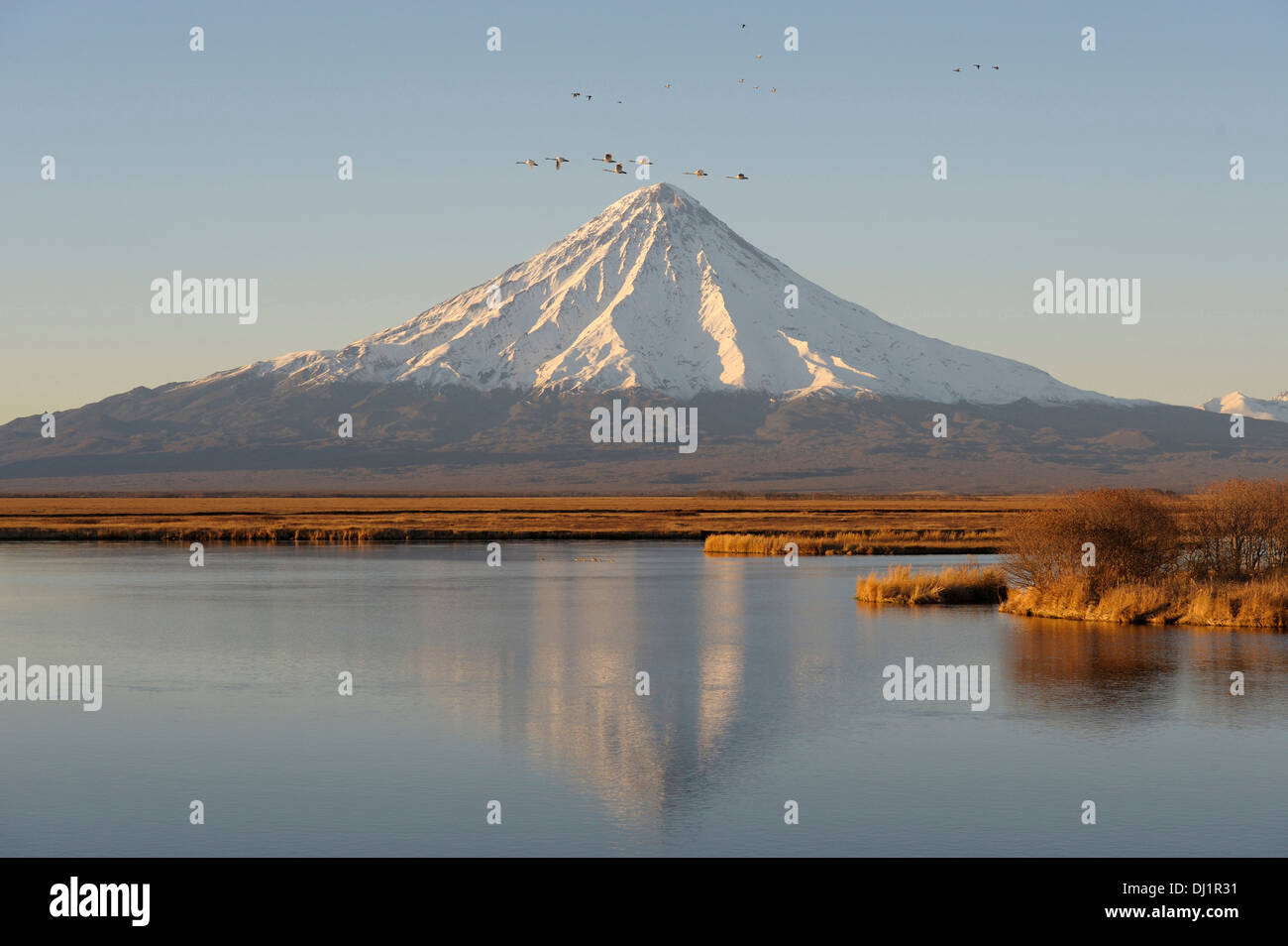 Кроноцкий заповедник вулкан крпшенин. В каком заповеднике находится 8 действующих вулканов. В каком заповеднике находится 8 действующих вулканов. Кроноцкая сопка озеро. Вулкан кроноцкая сопка.