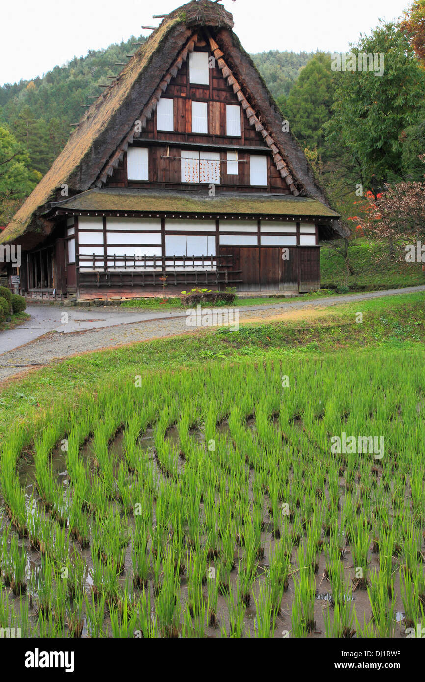 Japan, Hida, Takayama, Hida no Sato, old farmhouse, Stock Photo