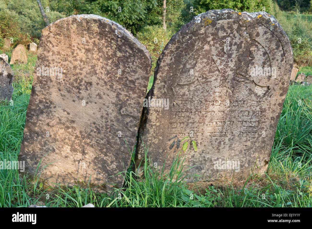 Gravestones in Kirkut, Jewish cementery, Lutowiska, Bieszczady, south-eastern Polanf Europe Stock Photo