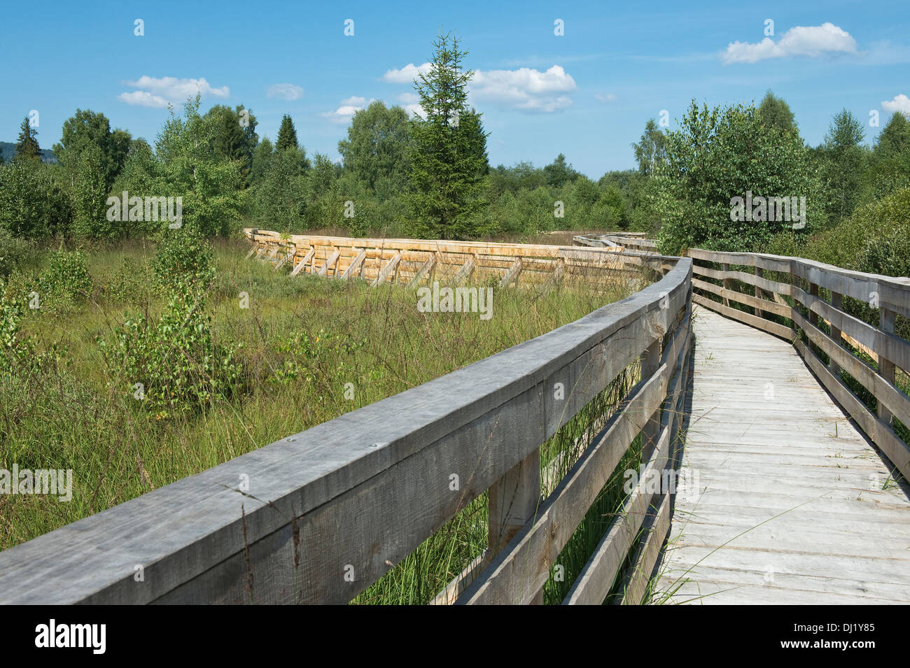 Peatland in Tarnowa Bieszczady mountains Subcarpathian Voivodeship south-eastern Poland Europe Stock Photo