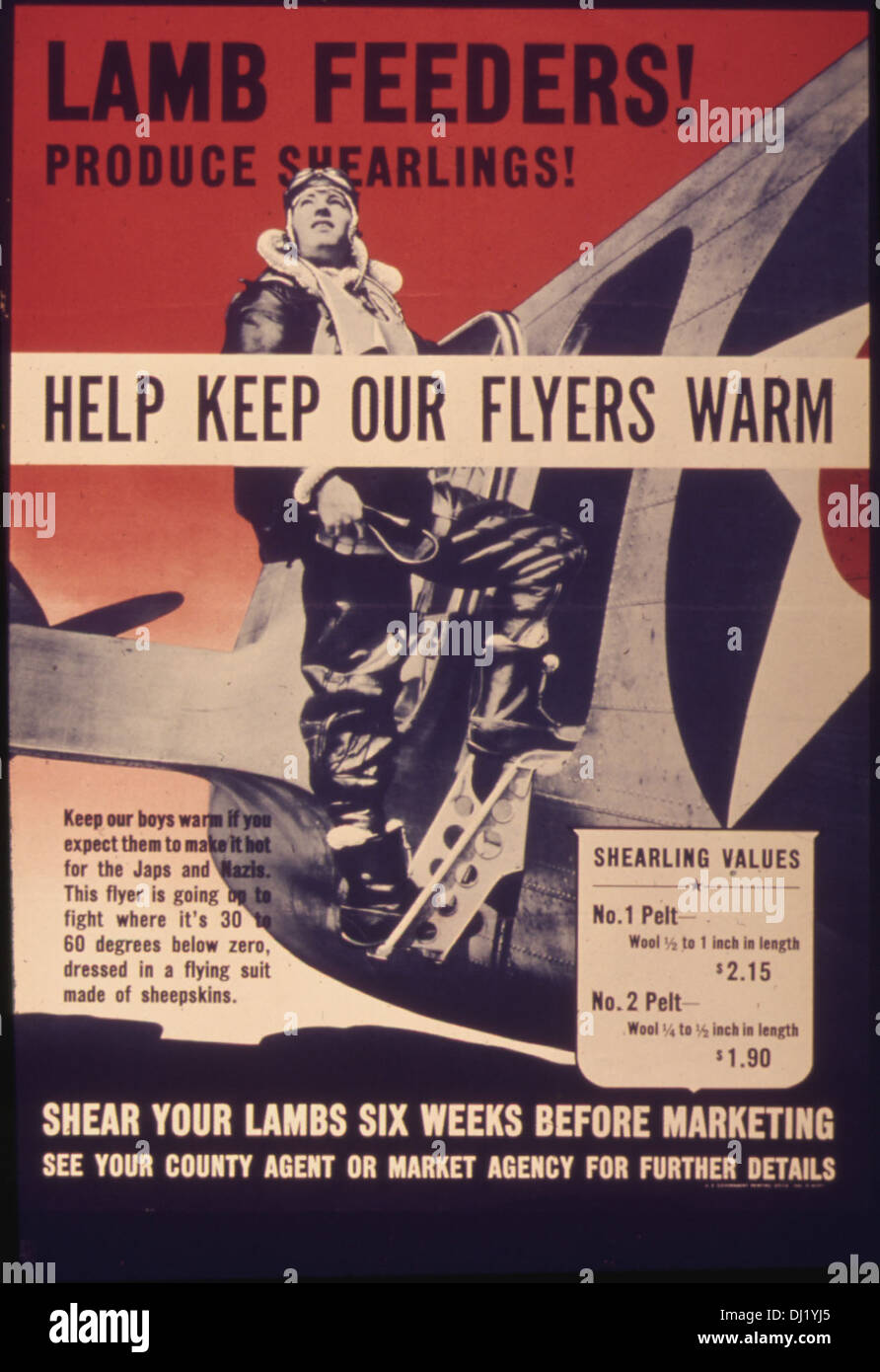 Lamb Feeders Produce Sheerlings Help Keep Our Flyers Warm 843