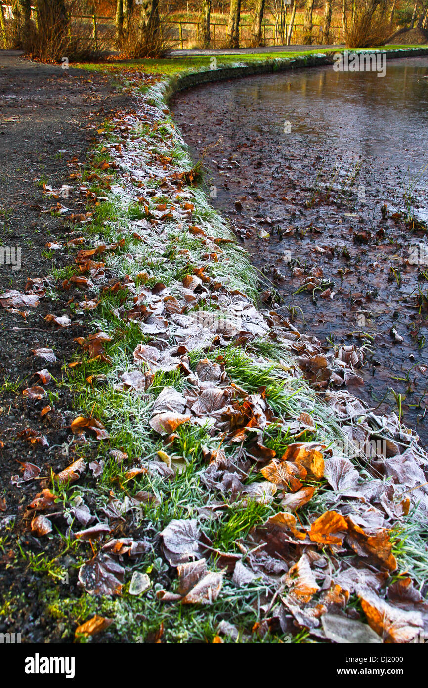 Kilsyth, Glasgow, UK. 19th November 2013. Heavy frost dusts the grass with autumn colours in the background.  Colzium Park Kilsyth. Credit:  ALAN OLIVER/Alamy Live News Stock Photo