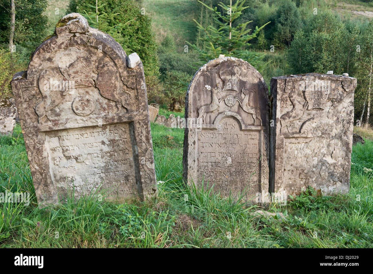 Gravestones in Kirkut, Jewish cementery, Lutowiska, Bieszczady, south-eastern Poland Europe Stock Photo