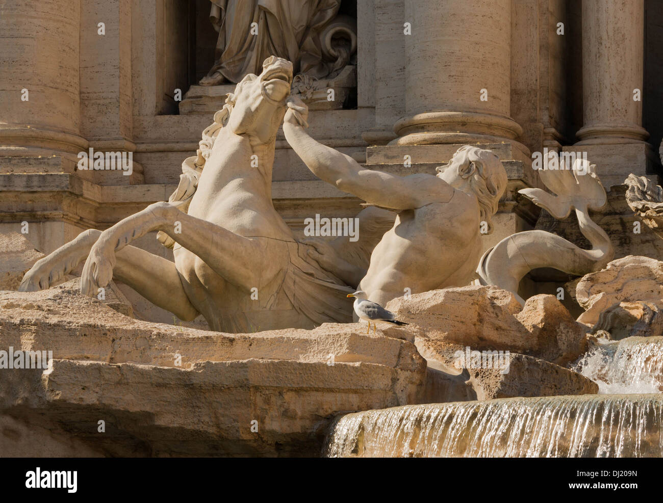 Trevi fountain, detail. Rome, Italy. Stock Photo