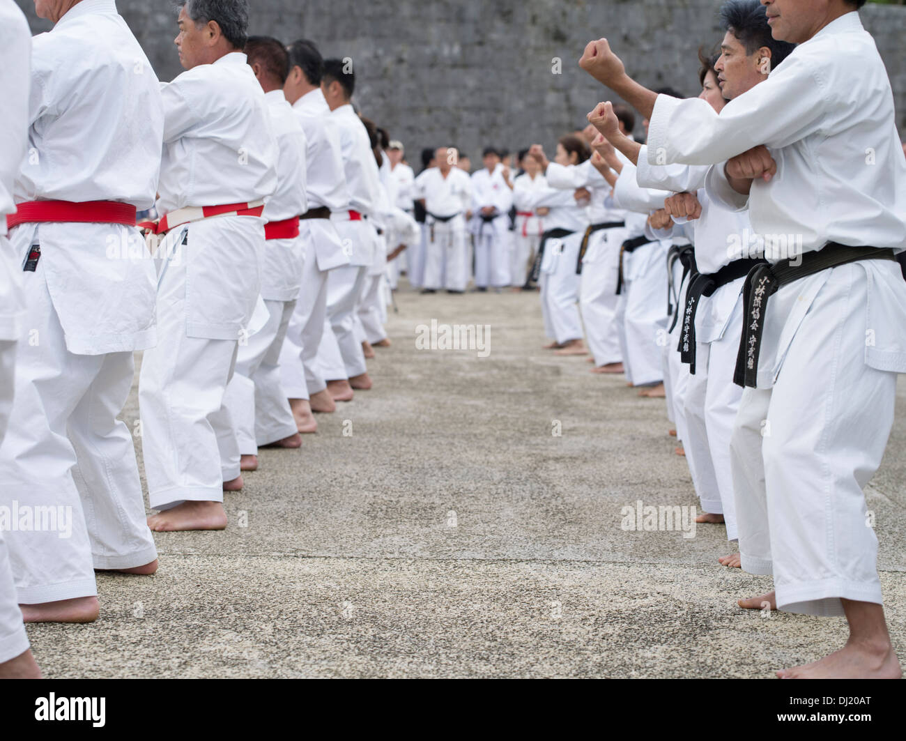 Karate demonstrations at Shuri Castle, Naha City, Okinawa, Japan by world's highest ranking masters on Karate Day. Stock Photo