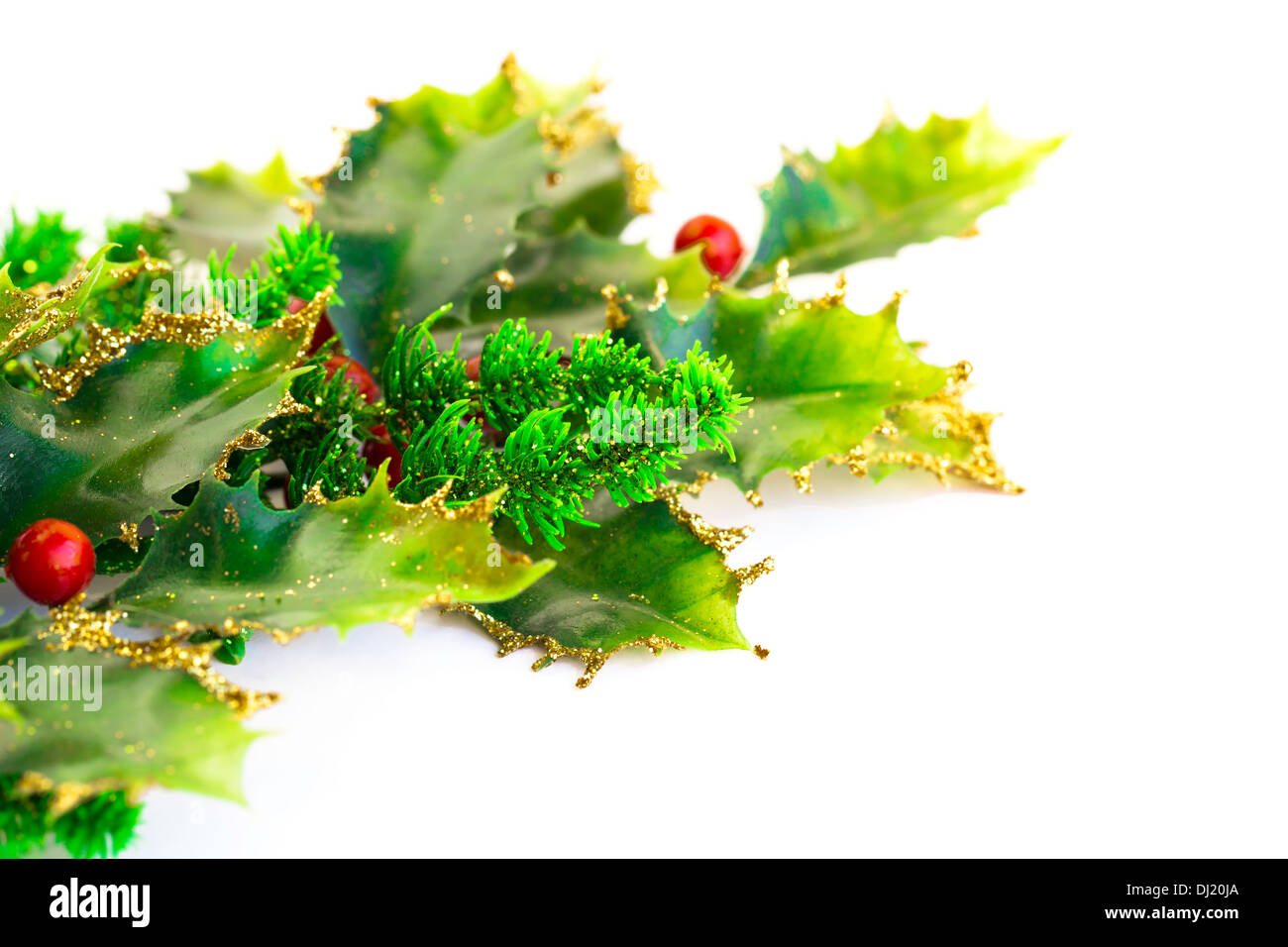 Holly berry plant with red berries on white background, Christmas decoration. Stock Photo