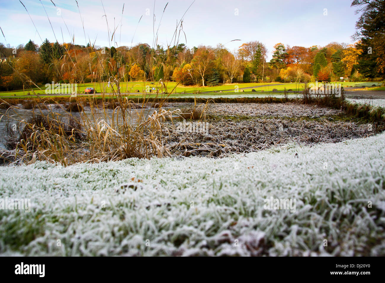 Kilsyth, Glasgow, UK. 19th November 2013. Heavy frost dusts the grass with autumn colours in the background.  Colzium Park Kilsyth. Credit:  ALAN OLIVER/Alamy Live News Stock Photo