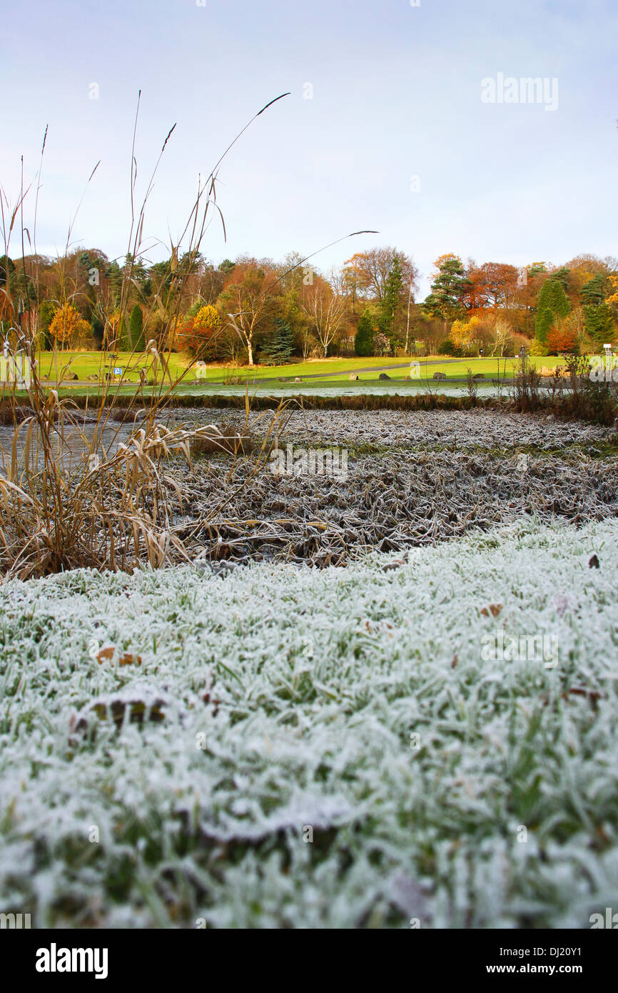 Kilsyth, Glasgow, UK. 19th November 2013. Heavy frost dusts the grass with autumn colours in the background.  Colzium Park Kilsyth. Credit:  ALAN OLIVER/Alamy Live News Stock Photo