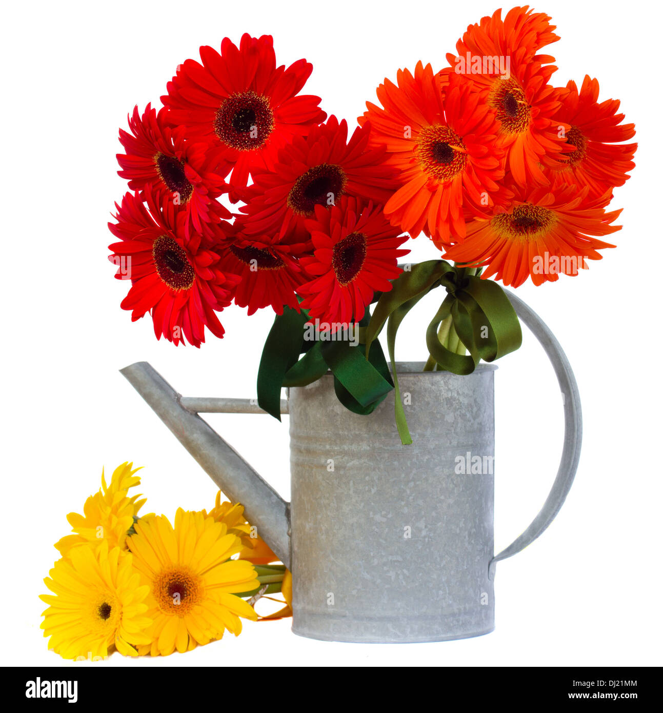 Watering flower border summer hi-res stock photography and images - Alamy